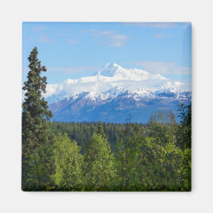 Beautiful Denali Magnet