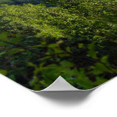 Beautiful Denali Poster (Ecke)