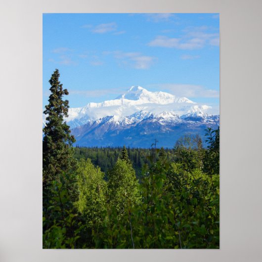 Beautiful Denali Poster (Vorne)