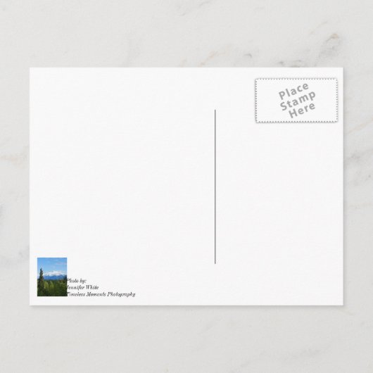 Beautiful Denali Postkarte (Rückseite)