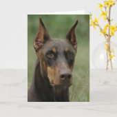 Beautiful Doberman Karte (Gelbe Blume)