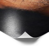 Beautiful Doberman Pinscher Fotodruck (Ecke)