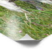 Beautiful Dogo Argentino Fotodruck (Ecke)