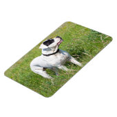 Beautiful Dogo Argentino Magnet (Linke Seite)