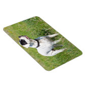 Beautiful Dogo Argentino Magnet (Rechte Seite)