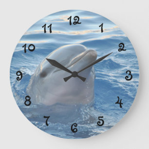 Beautiful Dolphin Große Wanduhr