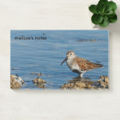 Beautiful Dunlin Shorebird Sandpiper Goes Solo Post-it Klebezettel (Büro)