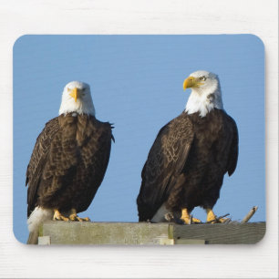 Beautiful Eagles Mouse Pad Mousepad
