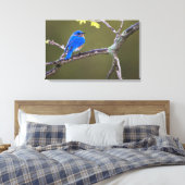 Beautiful Eastern Bluebird Leinwanddruck (Insitu (Schlafzimmer))