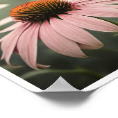 Beautiful Echinacea Blume Poster Wine tasting in d (Ecke)