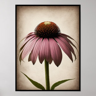 Beautiful Echinacea Blume Poster Wine tasting in d