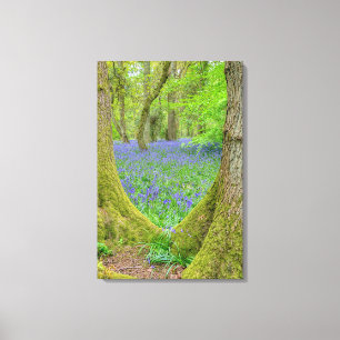 Beautiful English Bluebell Wood Leinwanddruck
