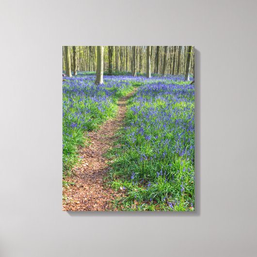 Beautiful English Bluebell Wood Leinwanddruck (Vorderseite)