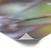 Beautiful European Robin Poster (Ecke)