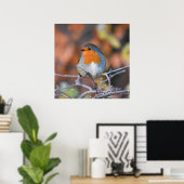 Beautiful European Robin Poster (Heimbüro)