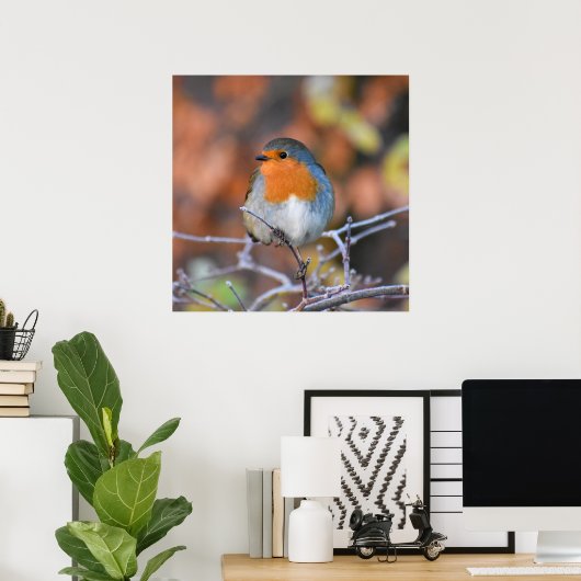 Beautiful European Robin Poster (Heimbüro)