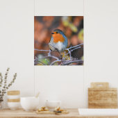Beautiful European Robin Poster (Küche)