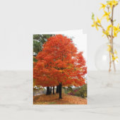 Beautiful Fall Notecard Karte (Gelbe Blume)