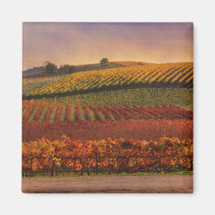 Beautiful Fall Weinroute Mendrisiotto Magnet