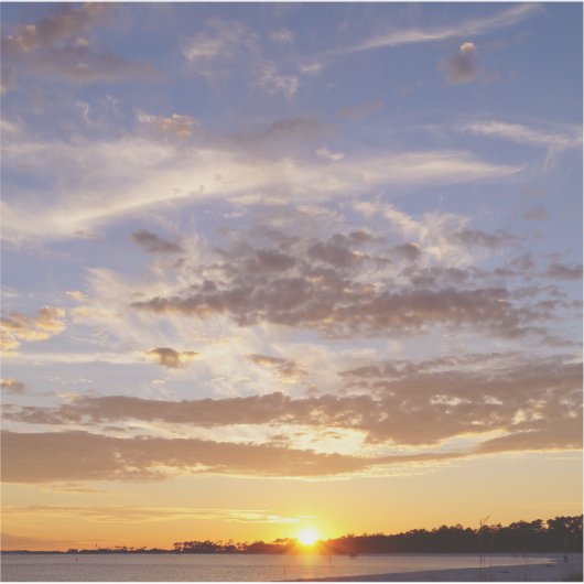 Beautiful Florida Sky Aufkleber (Vorderseite)