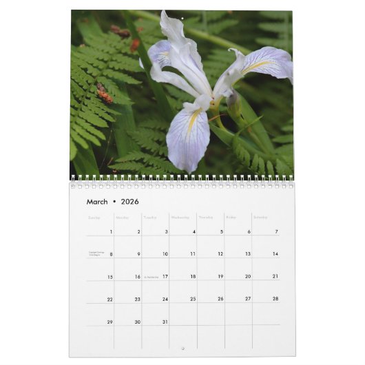 Beautiful Flowers Kalender (Mär 2026)