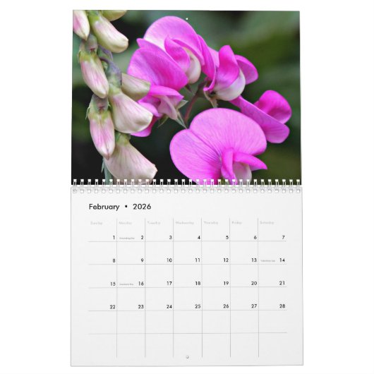Beautiful Flowers Kalender (Feb 2026)