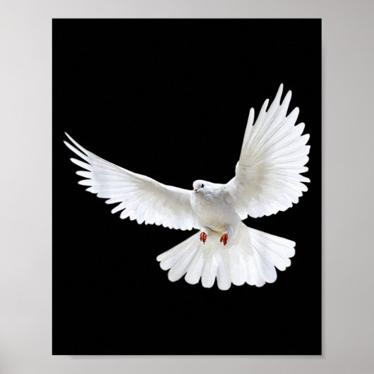 Beautiful Flying Peaceful White Dove Photo Silhoue Poster (Vorne)