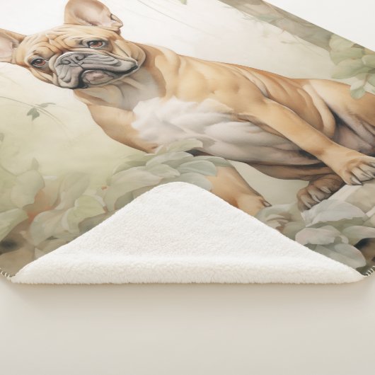 Beautiful Frenchie Sherpadecke (3/4)