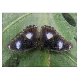 Beautiful Gepunktet Butterfly Cutting Board Schneidebrett