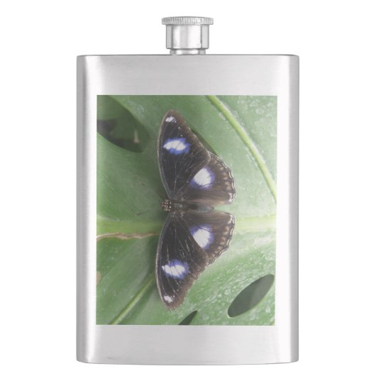 Beautiful Gepunktet Butterfly Flask Flachmann (Vorderseite)
