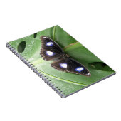 Beautiful Gepunktet Butterfly Notebook Notizblock (Rechte Seite)