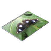 Beautiful Gepunktet Butterfly Notebook Notizblock (Linke Seite)