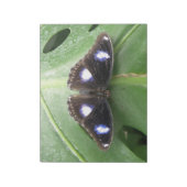 Beautiful Gepunktet Butterfly Notepad Notizblock (Rotiert)