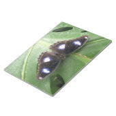 Beautiful Gepunktet Butterfly Notepad Notizblock (angewinkelt)