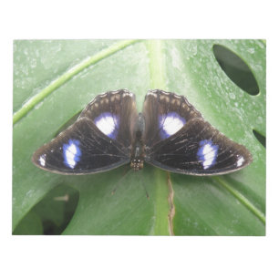 Beautiful Gepunktet Butterfly Notepad Notizblock