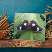 Beautiful Gepunktet Butterfly Plaque Fotoplatte (Seite)