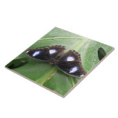 Beautiful Gepunktet Butterfly Tile Fliese (Seite)