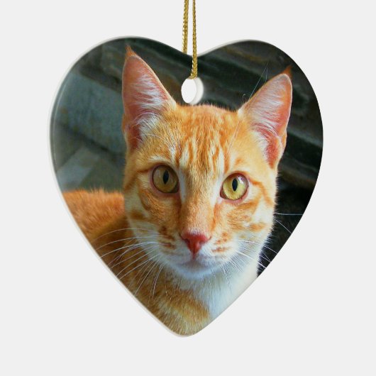 Beautiful Ginger Cat Keramikornament (Rechts)