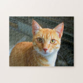 Beautiful Ginger Cat Puzzle (Horizontal)