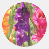 Beautiful Gladiolus Blooms Runder Aufkleber (Vorderseite)