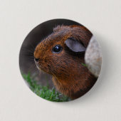 Beautiful Gold Agouti Guinea Pig Button (Vorderseite)