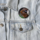 Beautiful Gold Agouti Guinea Pig Button (Beispiel)