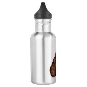 Beautiful Golden Burmese Katze Moggy Herzstück Lie Edelstahlflasche (Links)