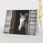 Beautiful Gray Mare Horse Rustic Ranch Karte (Gelbe Blume)