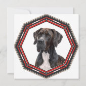 Beautiful Great Dane In A Frame Einladung (Rückseite)
