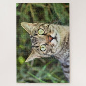 Beautiful green-eyed tabby cat close-up puzzle (Vertikal)