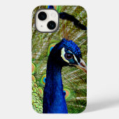 Beautiful Green Peacock Bird Hübsch Case-Mate iPhone Hülle (Rückseite)