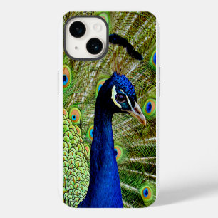 Beautiful Green Peacock Bird Hübsch iPhone 14 Hülle
