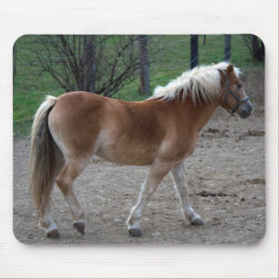 Beautiful Haflinger Mousepad