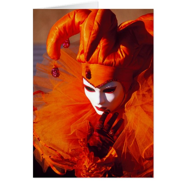 Beautiful Harlequin (Vorne)